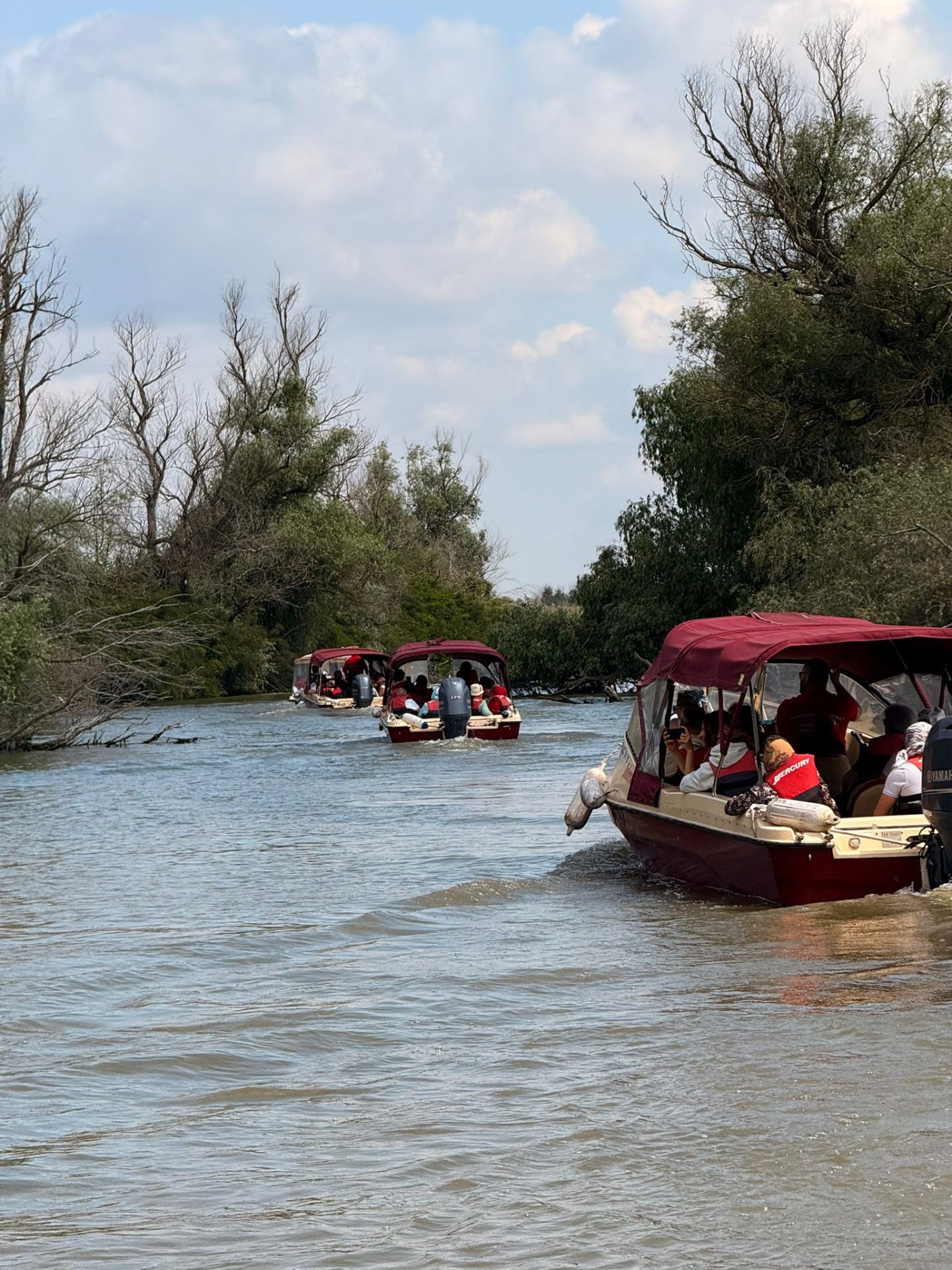 Excursie de o zi